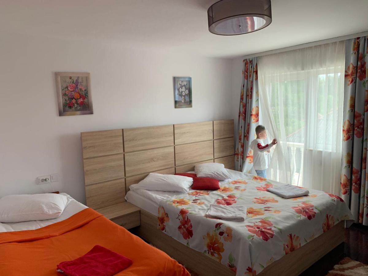 Vila Club Dioda Cicanesti Экстерьер фото