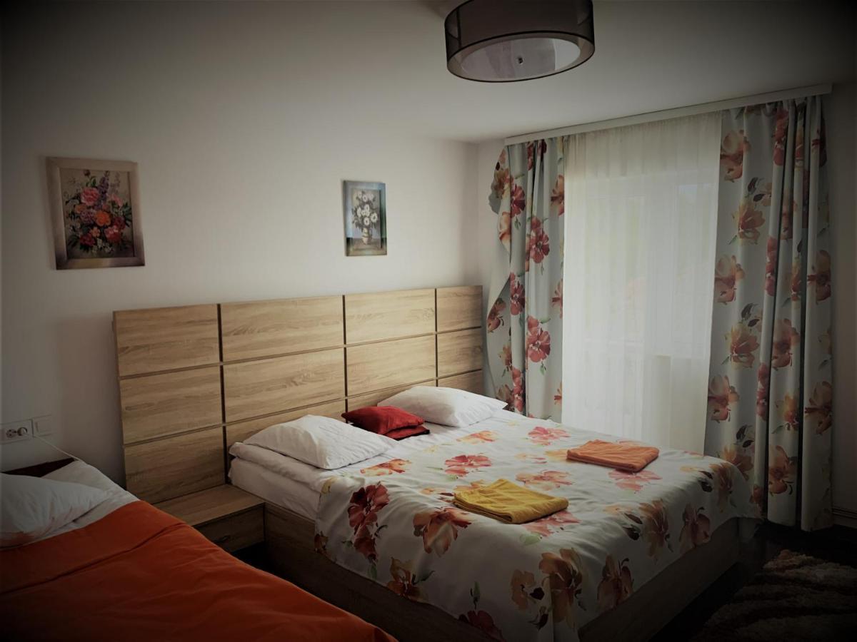 Vila Club Dioda Cicanesti Экстерьер фото