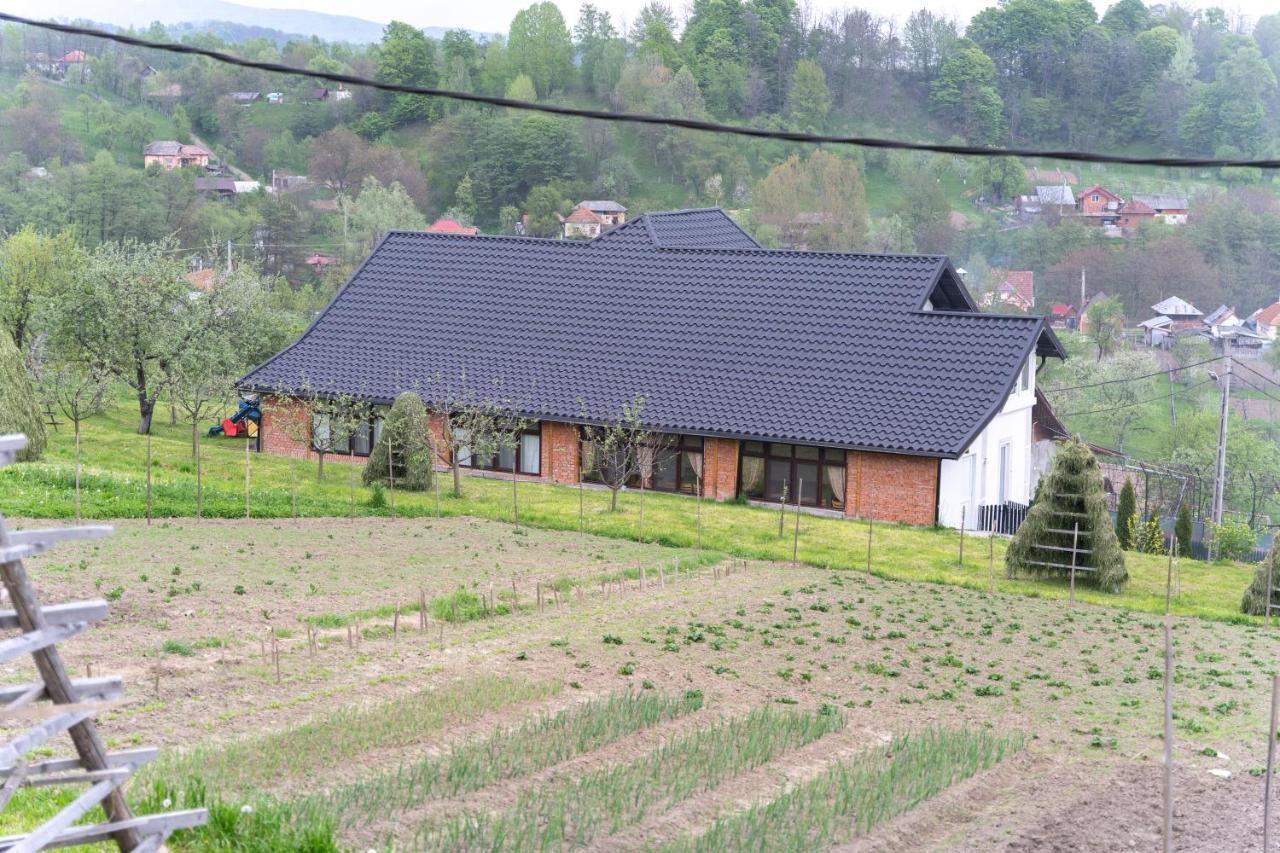 Vila Club Dioda Cicanesti Экстерьер фото
