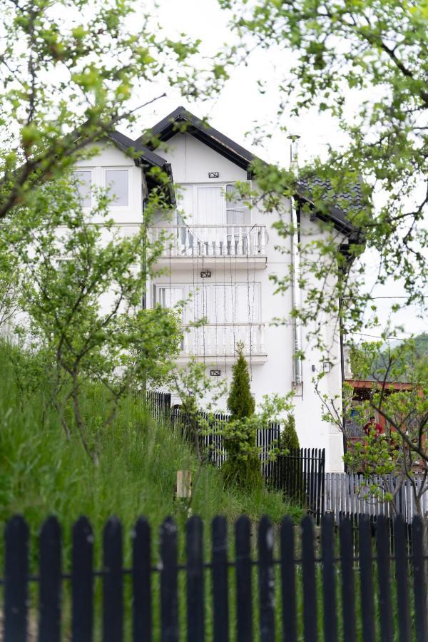 Vila Club Dioda Cicanesti Экстерьер фото